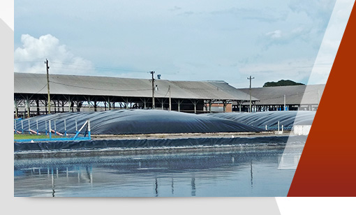 Biodigestores