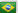 Português
