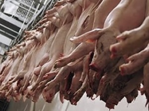 Exportações de carne suína caíram pela primeira vez na comparação anual