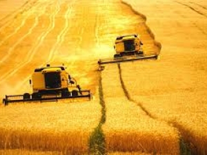 DF: exportações do agronegócio de cinco estados somaram US$ 6,73 bilhões em abril