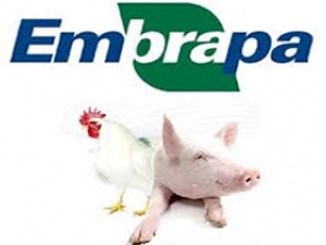 SC: Embrapa Suínos e Aves publica relatório de atividades de 2015