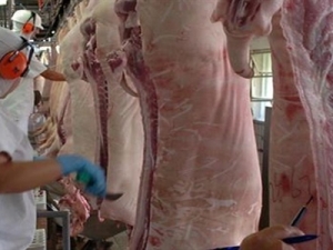 México desponta como mercado promissor para suinocultura brasileira