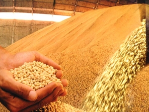 Forum discute desafio de alimentar o mundo no futuro