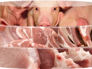 Demanda de importação de carne suína na China irá guiar uma recuperação