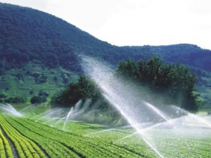 Irrigação na agricultura orgânica