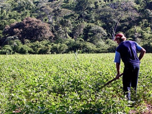 SECRETARIA DA AGRICULTURA ANUNCIA INVESTIMENTOS DE R$ 540 MILHÕES EM 2013
