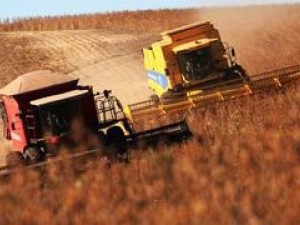 PIB da agropecuária deve crescer 6,5% no ano apesar de queda no terceiro tri
