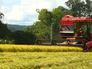 Agronegócio está mais “consciente”