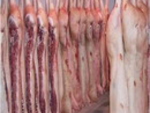 SC: Secretaria Estadual da Agricultura discute crise da suinocultura em Concórdia