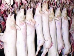 Brasil faturou US$ 1,36 bilhão com exportação de carne suína em 2013, diz Abipecs