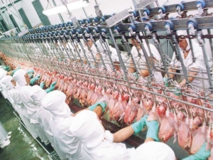 Frango: Brasil e União Europeia fecham acordo
