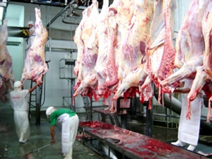 Normas de trabalho em frigoríficos específica para o segmento de carnes em discussão