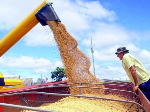 Preços de rações sobem com alta no mercado de grãos