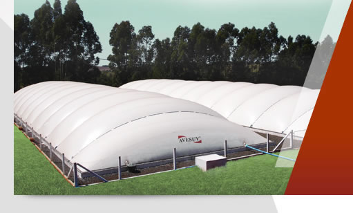 Biodigestores