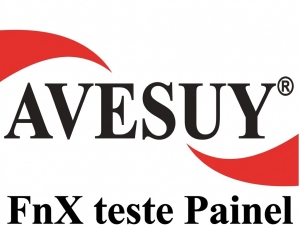 Teste de Painel FnX 1.0 lucas teste